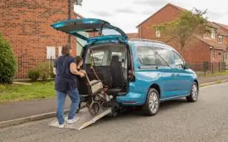 Vehicles for Disabled Market 2030F Competitive Landscape Report