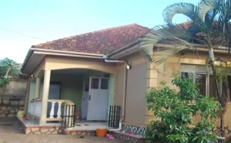 How I Stopped My Home from Being Auctioned Over a Loan