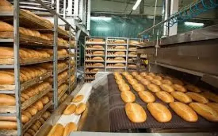 Bread Manufacturing Plant Setup Cost 2025: Detailed Project Report and Business Plan
