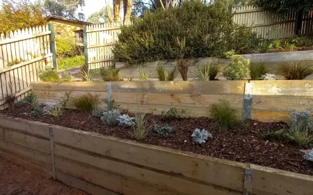 Transform Your Melbourne Home with Expert Landscaping