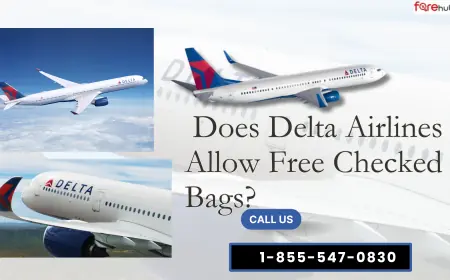Does Delta Airlines Allow Free Checked Bags?