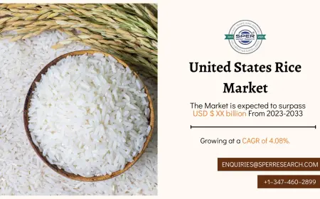 United States Rice Market Share and Forecast till 2033