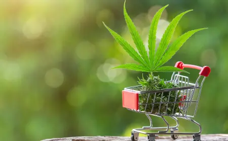 Best CBD Edibles for Sale in the UK: How to Choose the Right One