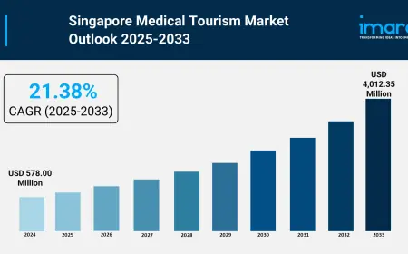 Singapore Medical Tourism Market Trends, Growth, Outlook and Forecast 2025-2033