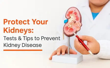 Protect Your Kidneys: Tests & Tips to Prevent Kidney Disease