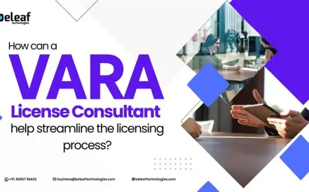 How can a VARA License Consultant help streamline the licensing process?