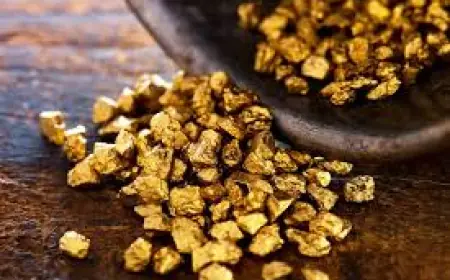 Why You Should Own Gold and Why You Must Get Involved in This Multi-Million Dollar Industry