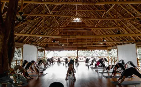 Yoga Meditation Retreat Mexico – Reconnect, Recharge, and Transform