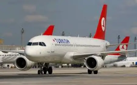 Turkish Airlines Baku Office in Azerbaijan – Your Complete Travel Support Guide