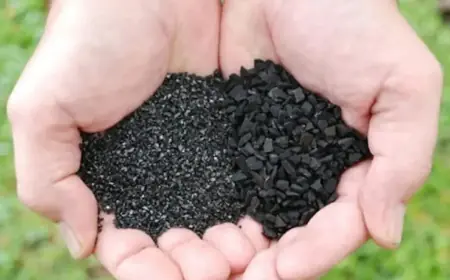 Activated Carbon Market Size and Forecast 2020 - 2033