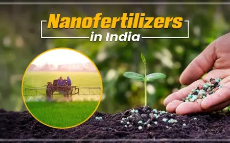 Role, Types and Benefits of Nanofertiliser