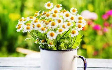 Cut Flowers Market 2025: Trends, Challenges, and the Road Ahead