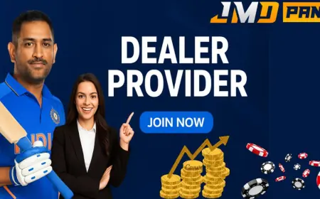 Scaling Your Betting Business with JMDPanel’s Dealer Provider Solutions