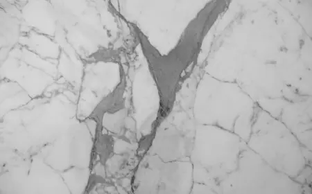 Natural Elegance for Modern Living: Styling Brown, Onyx & Fantasy Brown Marble