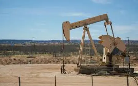 Oil Country Tubular Goods Market Size And Forecast 2025 - 2033