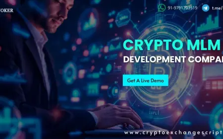 Empowering Your Network: Choosing the Right Crypto MLM Software Development Company