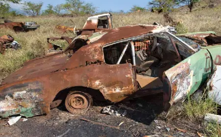 Sell your used car for the best price today