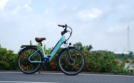 Cargo Power: How E-Bikes Are Revolutionizing Family Errands and Small Business Logistics
