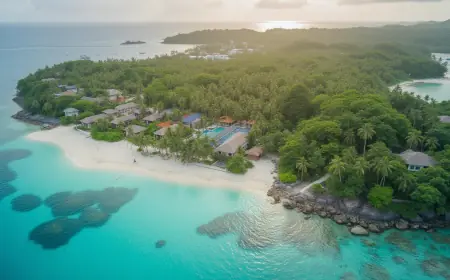 Food Lover’s Guide to the 4 Nights Andaman Tour Package