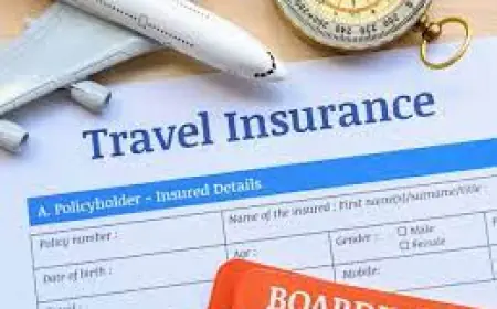 Europe Travel Insurance Market 2030 Industry Key Highlights