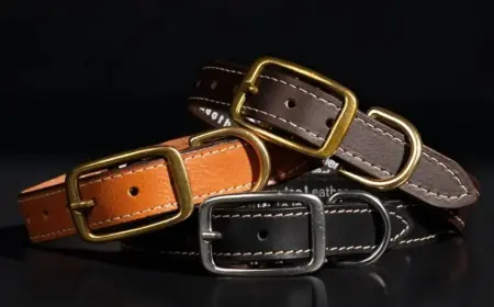 From Walks to Playtime: NAB Leather’s Stylish Dog Collars Leather