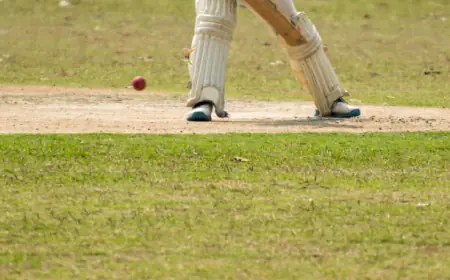 Enhance Your Game with Premium Batting Cricket Pads