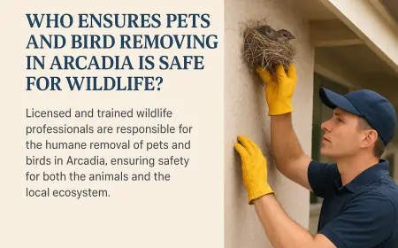 Who Ensures Pets and Bird Removing in Arcadia Is Safe for Wildlife?
