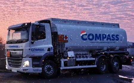 Domestic Fuel Suppliers in the UK: Delivering Warmth and Reliability