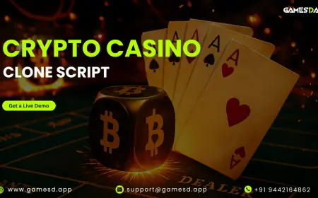 Build a Blockchain-Powered Casino Fast with a Clone Script