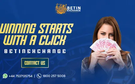 Betinexchange: Redefining How Fans Experience Sports