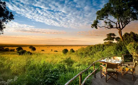Luxury Kenya Safari: Private Tours, Luxury Lodges, and Unforgettable Memories with Ariphine Tour and Safaris