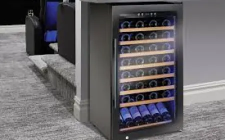 Best Large Wine Refrigerators with Humidity Control: Keep Corks from Drying Out