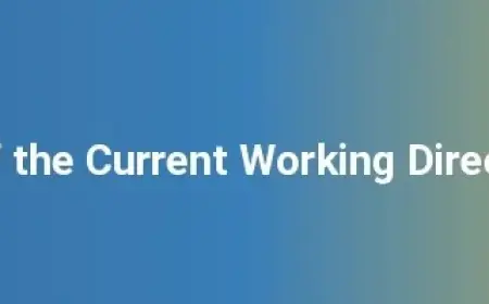 Python Get Current Directory – Simple Code Example