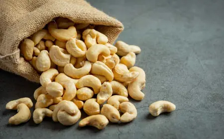 Raw Cashew Nuts – Fresh, Nutritious & Naturally Delicious