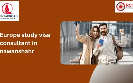 Your European Study Dreams Start Here: Expert Help from the Best Europe Study Visa Consultant in Nawanshahr