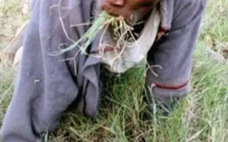 "Since I Stole Your Money for a KDF Job, I’ve Been Eating Grass," Con Admits