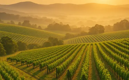 Escape the Everyday with a Luxurious Yarra Valley Long Weekend