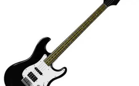 Guitar Strings – A Complete Guide for Every Musician