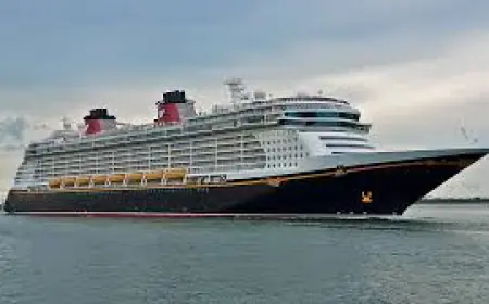 Island Dreams: Why a Bahamas Cruise Should Be Your Next Getaway