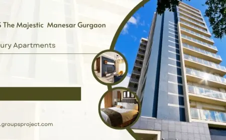 JMS The Majestic Manesar Gurgaon | Unlocking the door