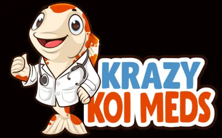 Bacterial Infections and Mouth Rot in Fish: Causes, Symptoms, and Treatments