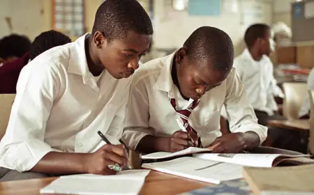 From Being Laughed at for Always Coming Last to Rising as a Top Student, A Remarkable Transformation