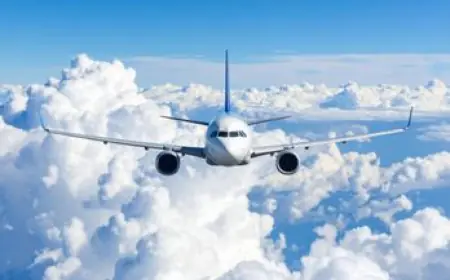 KLM Cancellation Policy – Everything You Need to Know