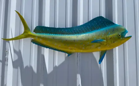 Mounted Fish for Sale – High-Quality Fish Replicas for Anglers and Collectors