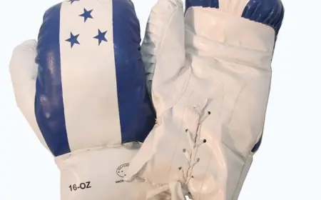 Unleash Your Power with Last Punch Pro-Style Training Sparring Gloves