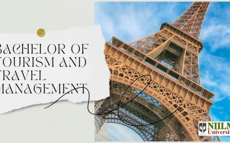 Top UGC Approved Universities in Haryana | NIILM University Kaithal