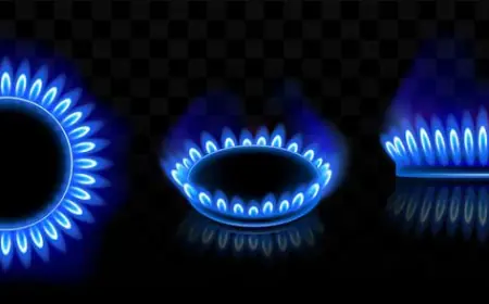 United States Propane Market Share Growth & Future Demand Trends 2025–2033