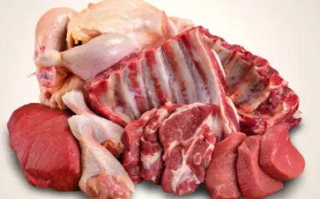 한국 육류 시장 규모, 성장 및 동향 전망 2025-2033