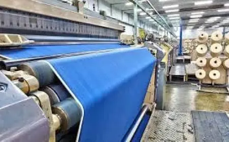 Bamboo Fiber Manufacturing Plant Setup Cost 2025: Raw Materials, Capital Investment and Business Plan