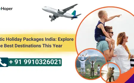 Domestic Holiday Packages India: Explore the Best Destinations This Year